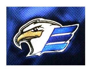 eagles Boxford Men's Softball League, Boxford Men's Softball League logo, All Around Active, Give Back Program Clients