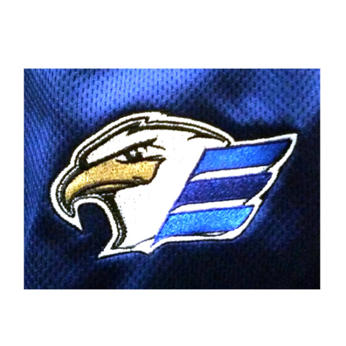 eagles Boxford Men's Softball League, Boxford Men's Softball League logo, All Around Active, Give Back Program Clients