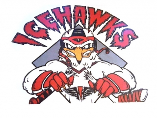 icehawks North Shore Ice Hawks Hockey Organization, North Shore Ice Hawks Hockey Organization logo, All Around Active, Give Back Program Clients