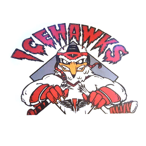 icehawks North Shore Ice Hawks Hockey Organization, North Shore Ice Hawks Hockey Organization logo, All Around Active, Give Back Program Clients