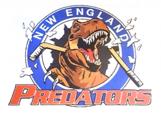 ne-predators New England Predators Hockey Organization, New England Predators Hockey Organization logo, All Around Active, Give Back Program Clients