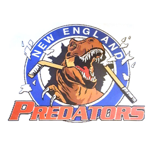 ne-predators New England Predators Hockey Organization, New England Predators Hockey Organization logo, All Around Active, Give Back Program Clients
