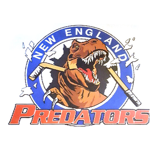 New England Predators Hockey Organization, New England Predators Hockey Organization logo, All Around Active, Give Back Program Clients